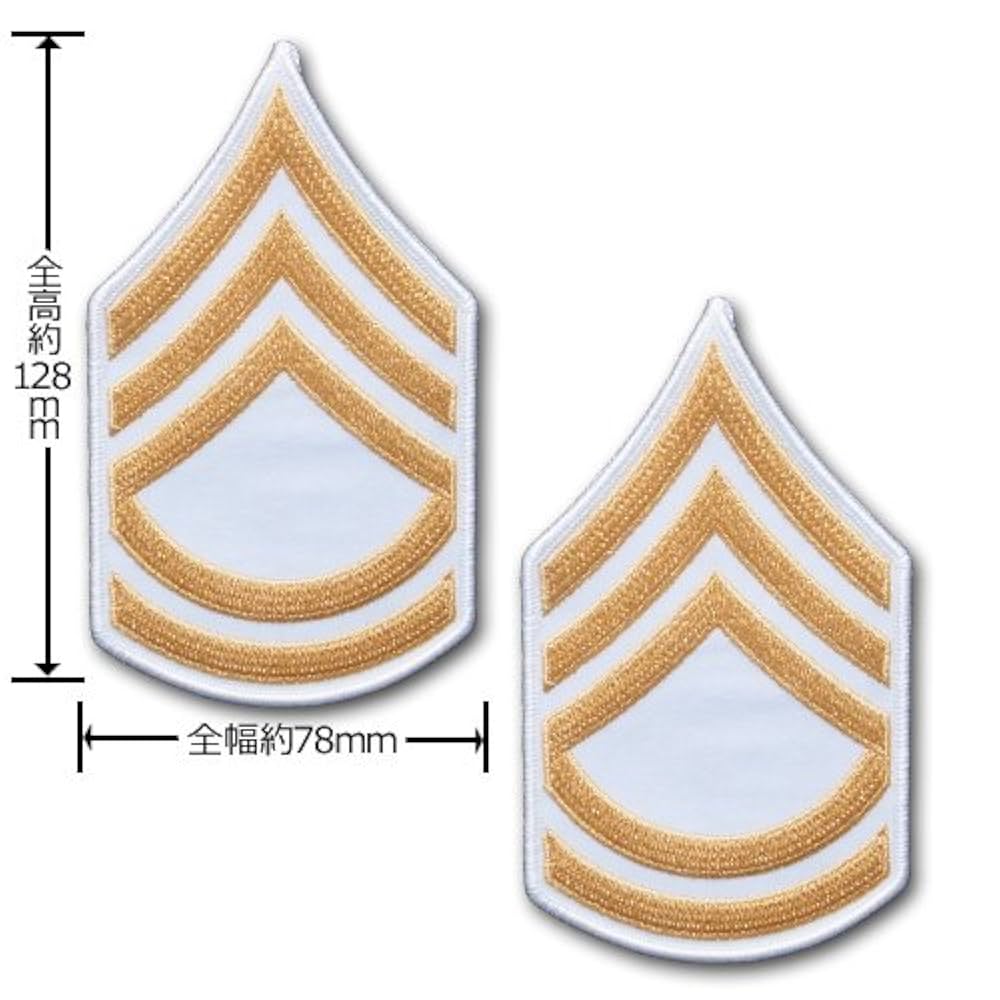 米陸軍 第10SFGグリンベレー:少佐階級章付 米陸軍 第10SFGグリンベレー:少佐階級章付 - メルカリ